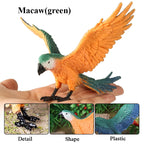 Oenux Bird Forest Animal Parrot Macaw Cockatiel Cockatoo Agapornis Puffin Model Solid PVC Garden Decoration Education Kids Toy