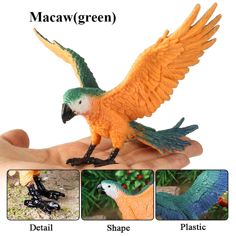 Oenux Bird Forest Animal Parrot Macaw Cockatiel Cockatoo Agapornis Puffin Model Solid PVC Garden Decoration Education Kids Toy