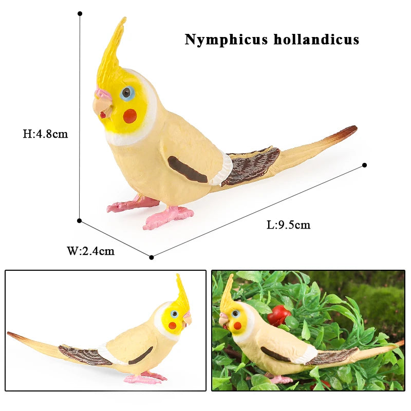 Oenux Bird Forest Animal Parrot Macaw Cockatiel Cockatoo Agapornis Puffin Model Solid PVC Garden Decoration Education Kids Toy
