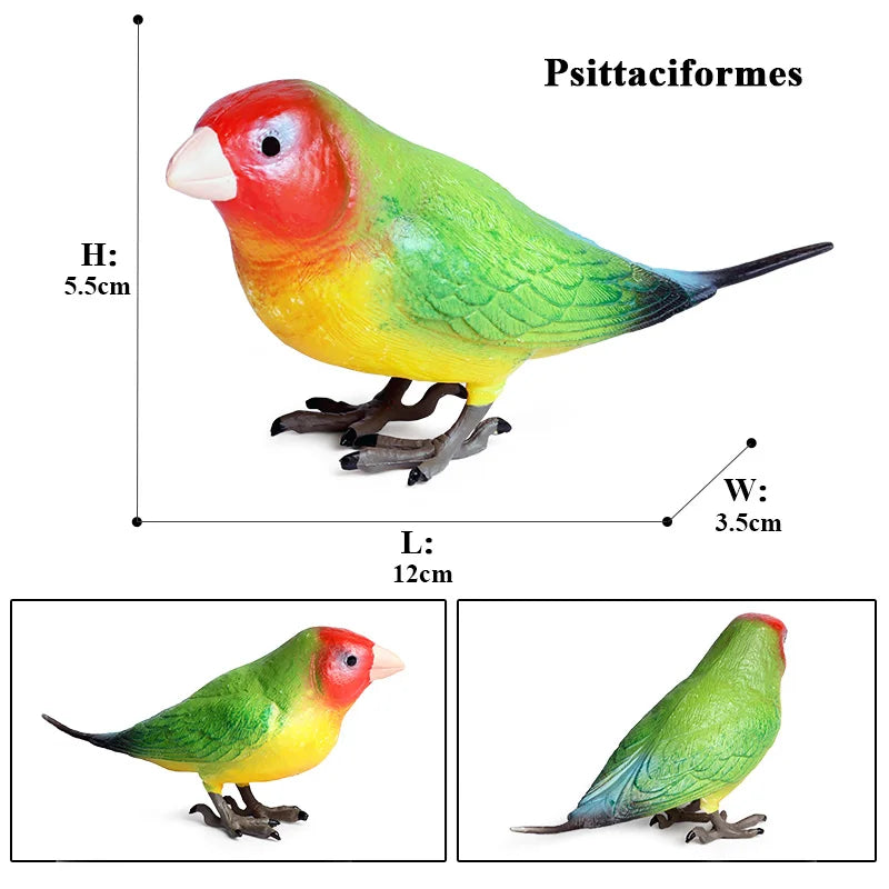 Oenux Bird Forest Animal Parrot Macaw Cockatiel Cockatoo Agapornis Puffin Model Solid PVC Garden Decoration Education Kids Toy