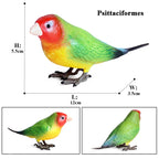 Oenux Bird Forest Animal Parrot Macaw Cockatiel Cockatoo Agapornis Puffin Model Solid PVC Garden Decoration Education Kids Toy