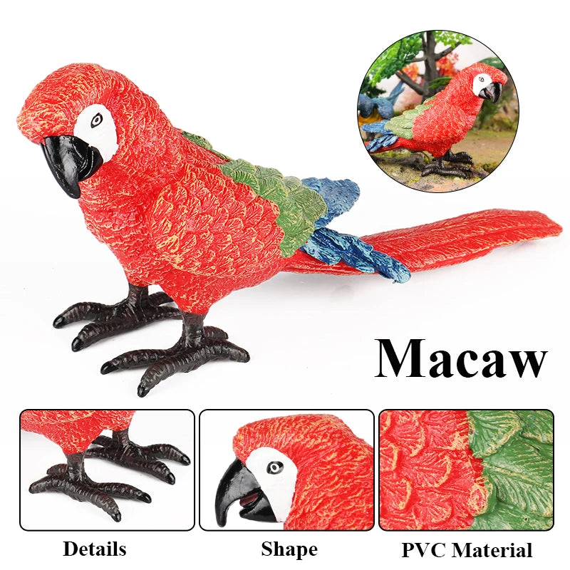 Oenux Bird Forest Animal Parrot Macaw Cockatiel Cockatoo Agapornis Puffin Model Solid PVC Garden Decoration Education Kids Toy