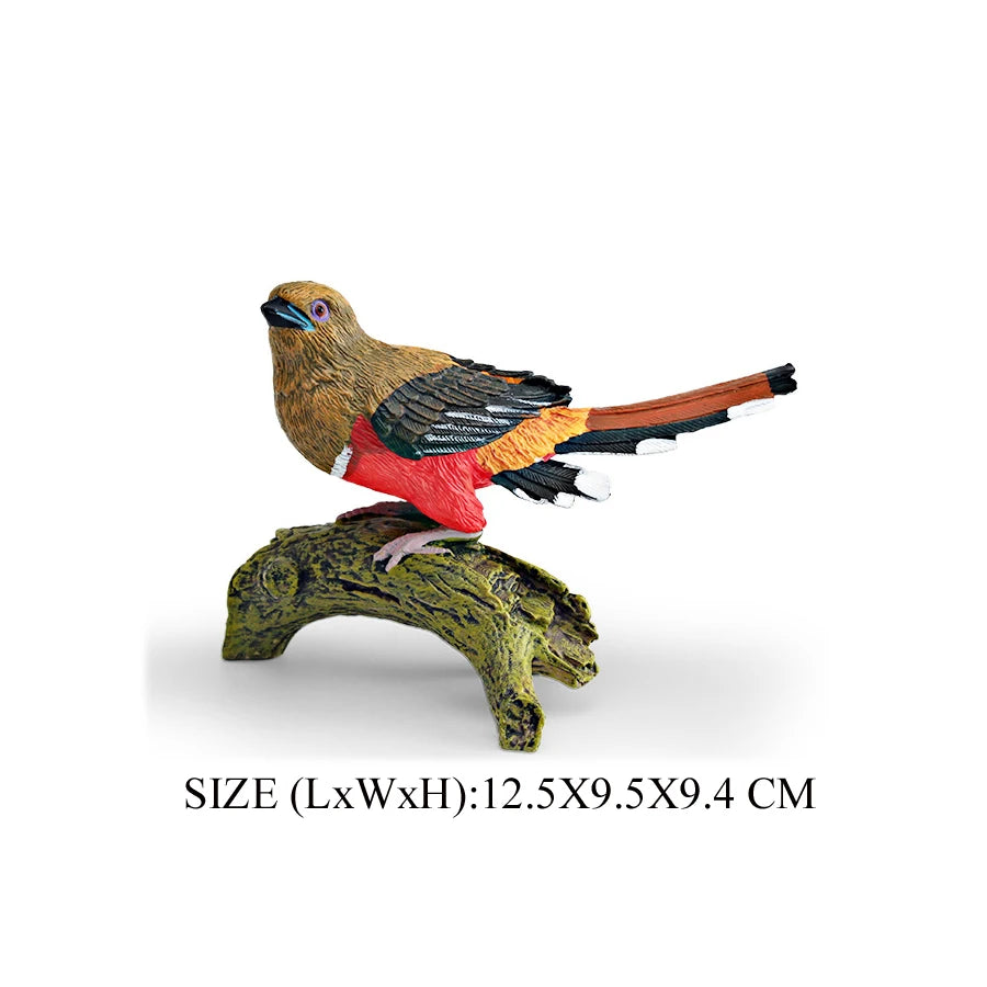 Simulation Bird Animal Kingfisher Robin Magpie Pigeon Hummingbird Model Action Figure Garden Decoration Miniature Figurines Toys