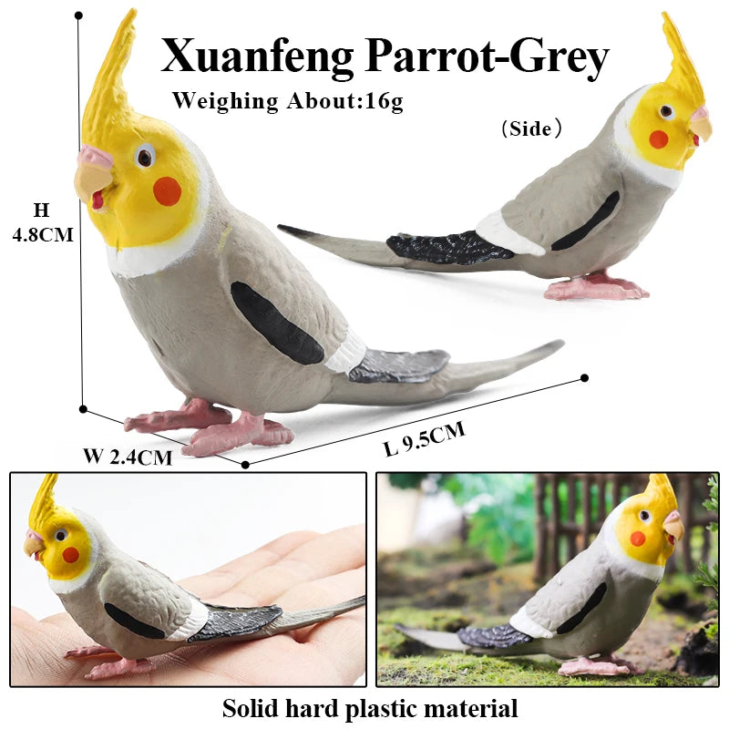 Oenux Bird Forest Animal Parrot Macaw Cockatiel Cockatoo Agapornis Puffin Model Solid PVC Garden Decoration Education Kids Toy