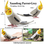 Oenux Bird Forest Animal Parrot Macaw Cockatiel Cockatoo Agapornis Puffin Model Solid PVC Garden Decoration Education Kids Toy