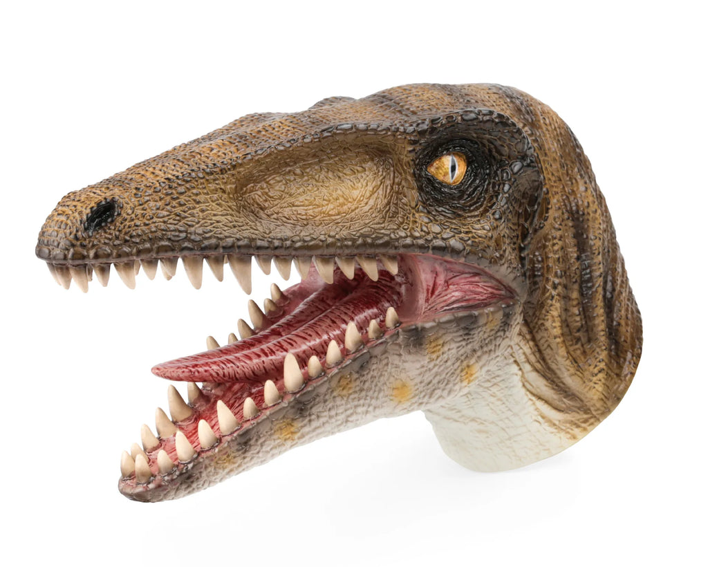 Scientific and Educational Cognitive Glove Model, Simulated Dinosaur, Children's Interactive Entertainment Hand Puppet Toy