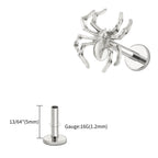 Right Grand ASTM F136 Titanium Spider Labret Lip Ring Tragus Cartilage Conch Flat Helix Stud Earring Halloween Piercing Jewelry