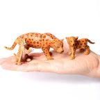 Simulation Mini  Farm Poultry Puppy Crocodile Pegasus Monkey Bird Wildlife Figurine Animal Model Sets Education Kid Toys