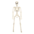 1PC Glowing and Non-glowing 40cm Joint Movable Simulation Skeleton for Halloween Ghost Festival Haunted House Outdoor Decoration
