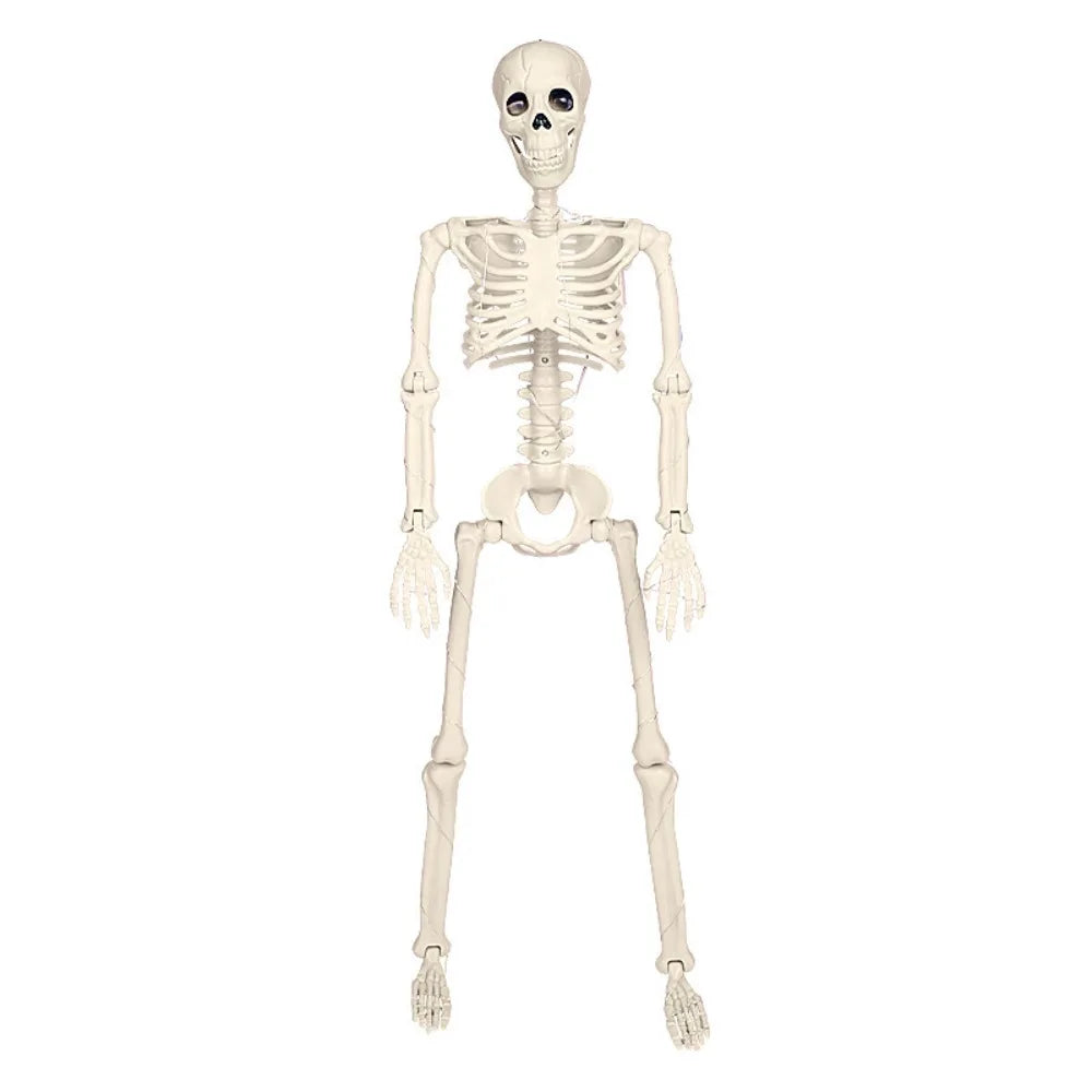 1PC Glowing and Non-glowing 40cm Joint Movable Simulation Skeleton for Halloween Ghost Festival Haunted House Outdoor Decoration