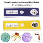 Pocket Microscope Science Toy Kit for Kids with LED Light STEM
