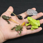 Children Simulation Biology Model Toy Animal Plant Life Growth Cycle Montessori Children Toys Set Teaching Aids Educational Toys