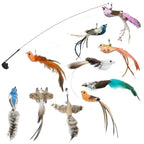 Simulation Bird Cat Toys Funny Interactive Peacock with Bell Cat Stick Toy for Kitten Playing Teaser Wand Toys Pet Cats Supplies