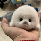 Soft Grey Seal Plush Keychain White Seal Plushies Animal Pendant Fashion Stuffed Doll Keyring Car Key Accessories Car Ornaments