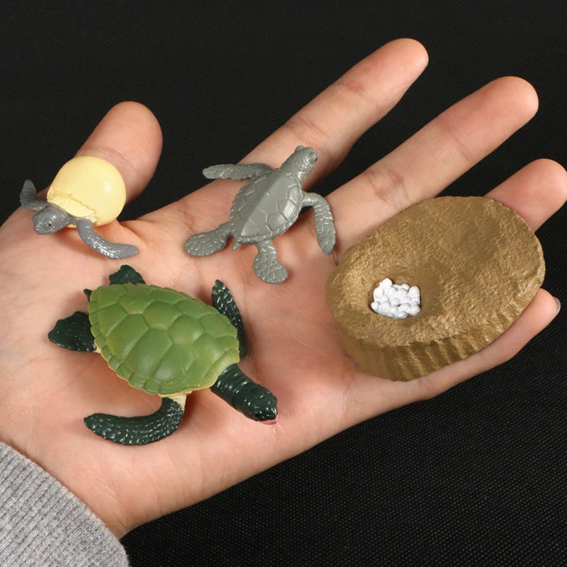 Children Simulation Biology Model Toy Animal Plant Life Growth Cycle Montessori Children Toys Set Teaching Aids Educational Toys
