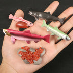 Children Simulation Biology Model Toy Animal Plant Life Growth Cycle Montessori Children Toys Set Teaching Aids Educational Toys