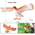 Oenux Wild Bird Animals Forest Night Eagle Condor Figurines PVC Action Figure Garden Decoration Education Miniature Toy Kid Gift
