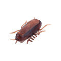Electric Crawling Cockroach Toys Funny Simulation Fake Roach Prank Toys Trick Joke Toy Novelty Gadgets Scary Spoof Toy