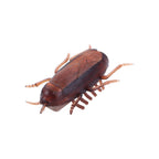 Electric Crawling Cockroach Toys Funny Simulation Fake Roach Prank Toys Trick Joke Toy Novelty Gadgets Scary Spoof Toy