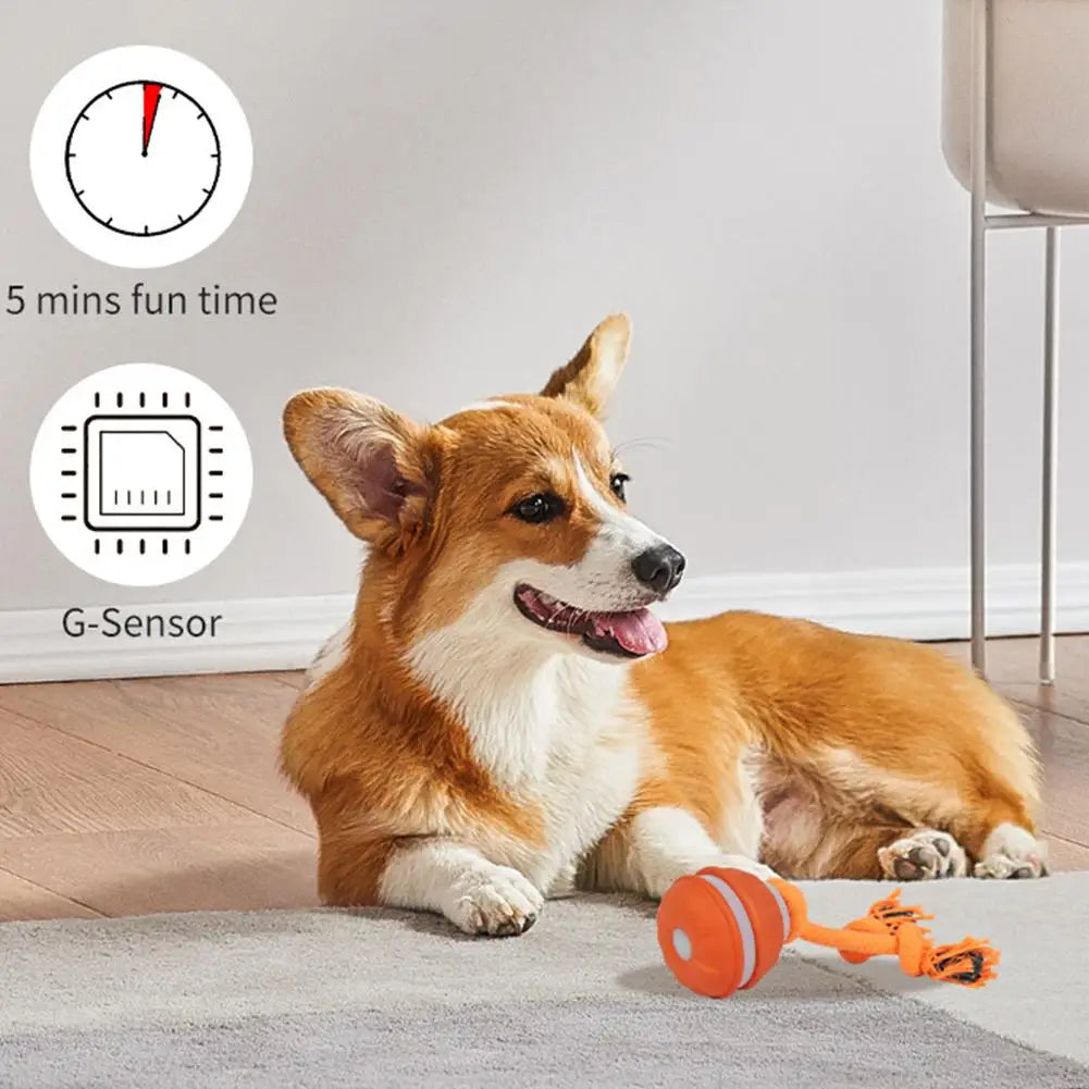 Interactive Dog Toy Ball with Rope Electronic Motion Activated Rolling Ball for Indoor Cat Dog Play Toys for Puppy Training Ball