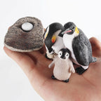 Children Simulation Biology Model Toy Animal Plant Life Growth Cycle Montessori Children Toys Set Teaching Aids Educational Toys