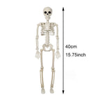 Halloween Decorations Skeleton,Posable Human Shape Skeleton,Halloween Fake Bone Horror Decoration