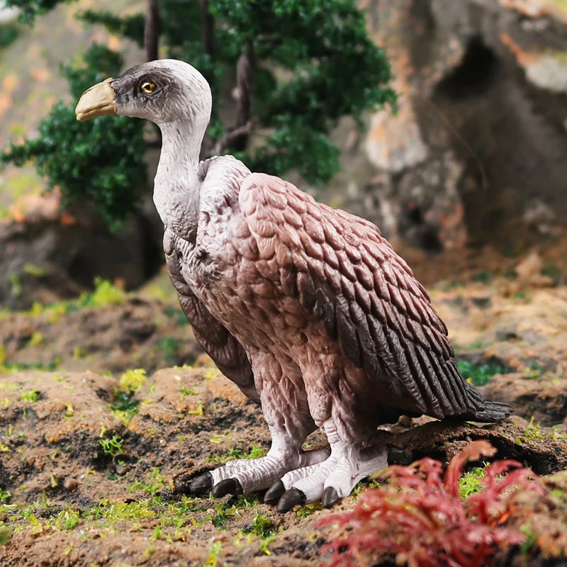 Oenux Wild Bird Animals Forest Night Eagle Condor Figurines PVC Action Figure Garden Decoration Education Miniature Toy Kid Gift