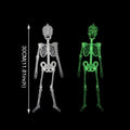 Halloween Luminous Skeleton,30cm,90cm,Glow Fake Skull Skeleton,Home Outdoor Yard Haunted House Hanging Decoration
