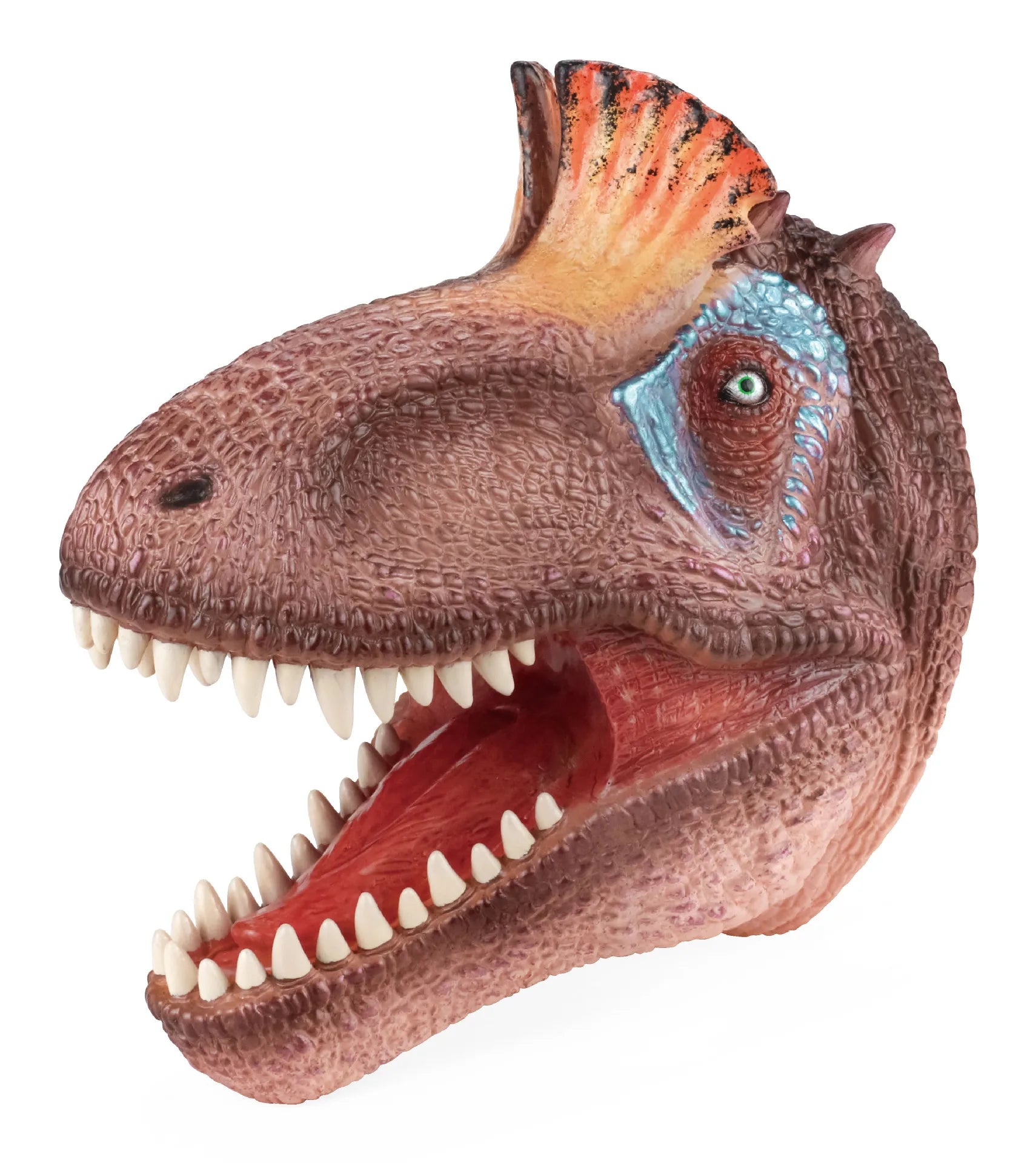 Scientific and Educational Cognitive Glove Model, Simulated Dinosaur, Children's Interactive Entertainment Hand Puppet Toy