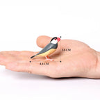 Simulation Bird Animal Kingfisher Robin Magpie Pigeon Hummingbird Model Action Figure Garden Decoration Miniature Figurines Toys