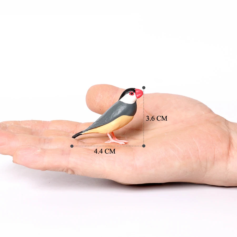 Simulation Bird Animal Kingfisher Robin Magpie Pigeon Hummingbird Model Action Figure Garden Decoration Miniature Figurines Toys