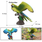 Oenux Bird Forest Animal Parrot Macaw Cockatiel Cockatoo Agapornis Puffin Model Solid PVC Garden Decoration Education Kids Toy