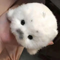 Cute Seal Plush Crochet Keychain Soft Animal Bag Charm